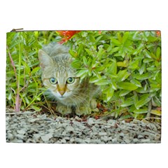 Hidden Domestic Cat With Alert Expression Cosmetic Bag (xxl)  by dflcprints