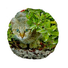 Hidden Domestic Cat With Alert Expression Standard 15  Premium Round Cushions by dflcprints