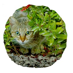 Hidden Domestic Cat With Alert Expression Large 18  Premium Round Cushions by dflcprints