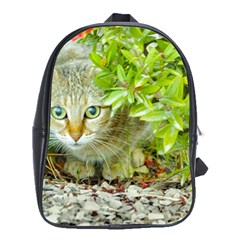 Hidden Domestic Cat With Alert Expression School Bag (xl) by dflcprints