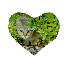 Hidden Domestic Cat With Alert Expression Standard 16  Premium Heart Shape Cushions by dflcprints