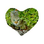 Hidden Domestic Cat With Alert Expression Standard 16  Premium Heart Shape Cushions Back