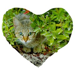 Hidden Domestic Cat With Alert Expression Large 19  Premium Heart Shape Cushions by dflcprints