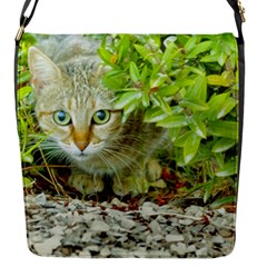 Hidden Domestic Cat With Alert Expression Flap Messenger Bag (s) by dflcprints