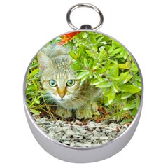 Hidden Domestic Cat With Alert Expression Silver Compasses by dflcprints