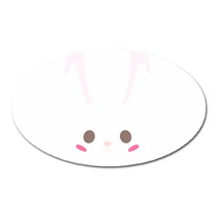 Rabbit Cute Animal White Oval Magnet