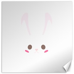 Rabbit Cute Animal White Canvas 12  x 12  