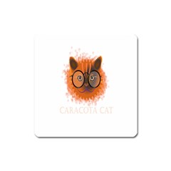 Cat Smart Design Pet Cute Animal Square Magnet by Nexatart