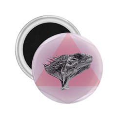 Lizard Hexagon Rosa Mandala Emblem 2 25  Magnets by Nexatart