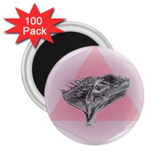 Lizard Hexagon Rosa Mandala Emblem 2 25  Magnets (100 Pack)  by Nexatart