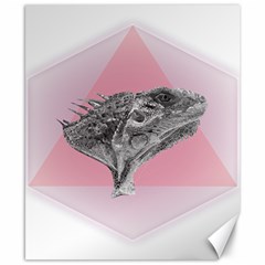 Lizard Hexagon Rosa Mandala Emblem Canvas 8  X 10  by Nexatart