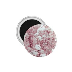 Pink Colored Flowers 1 75  Magnets by dflcprints