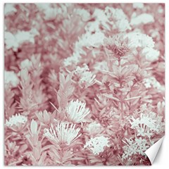 Pink Colored Flowers Canvas 12  X 12   by dflcprints