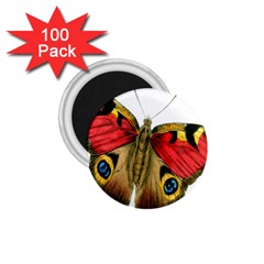 Butterfly Bright Vintage Drawing 1 75  Magnets (100 Pack)  by Nexatart