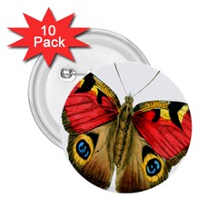 Butterfly Bright Vintage Drawing 2 25  Buttons (10 Pack)  by Nexatart