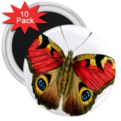 Butterfly Bright Vintage Drawing 3  Magnets (10 Pack)  by Nexatart