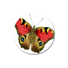 Butterfly Bright Vintage Drawing Magnet 3  (round) by Nexatart