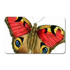 Butterfly Bright Vintage Drawing Magnet (rectangular) by Nexatart