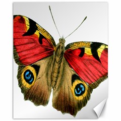 Butterfly Bright Vintage Drawing Canvas 11  X 14  