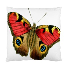 Butterfly Bright Vintage Drawing Standard Cushion Case (two Sides)