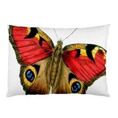 Butterfly Bright Vintage Drawing Pillow Case by Nexatart