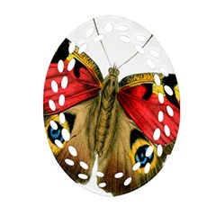 Butterfly Bright Vintage Drawing Ornament (oval Filigree) by Nexatart