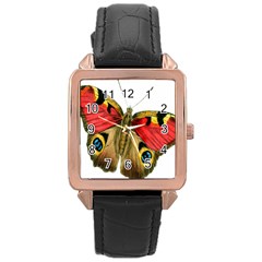 Butterfly Bright Vintage Drawing Rose Gold Leather Watch  by Nexatart