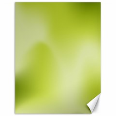 Green Soft Springtime Gradient Canvas 18  X 24   by designworld65