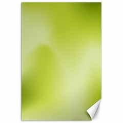 Green Soft Springtime Gradient Canvas 20  X 30   by designworld65