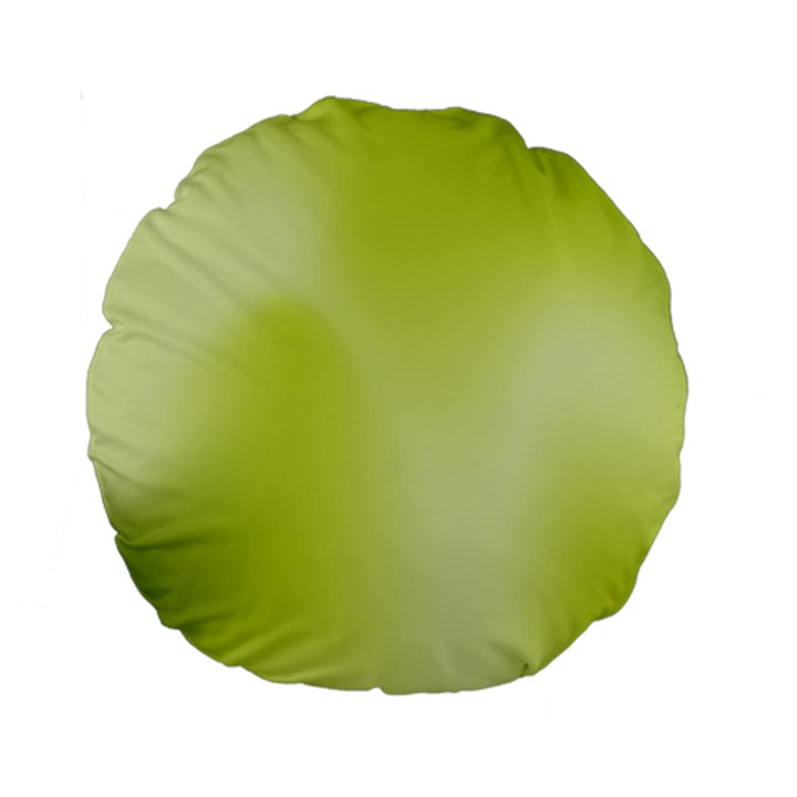 Green Soft Springtime Gradient Standard 15  Premium Round Cushions