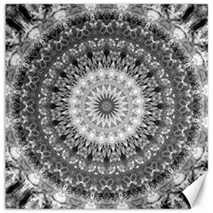 Feeling Softly Black White Mandala Canvas 12  X 12   by designworld65