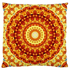 Powerful Love Mandala Large Cushion Case (one Side) by designworld65