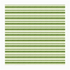 Spring Stripes Medium Glasses Cloth (2-side) by designworld65