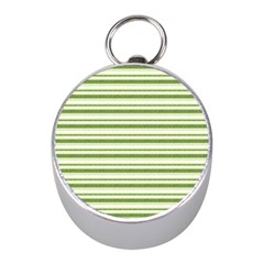 Spring Stripes Mini Silver Compasses