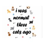 I was normal three cats ago Double Sided Flano Blanket (Large)  Blanket Back