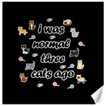 I was normal three cats ago Canvas 12  x 12   11.4 x11.56  Canvas - 1