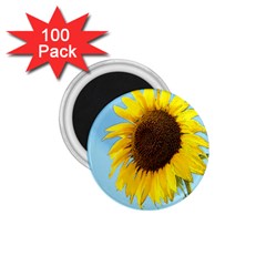 Sunflower 1 75  Magnets (100 Pack)  by Valentinaart