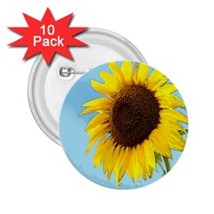 Sunflower 2 25  Buttons (10 Pack)  by Valentinaart