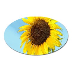 Sunflower Oval Magnet by Valentinaart