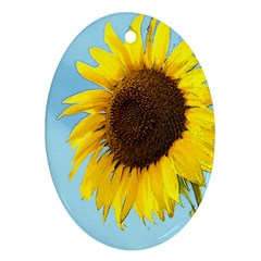 Sunflower Oval Ornament (two Sides) by Valentinaart