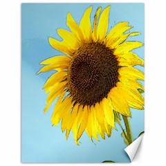 Sunflower Canvas 12  X 16   by Valentinaart