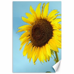 Sunflower Canvas 12  X 18   by Valentinaart