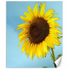 Sunflower Canvas 20  X 24   by Valentinaart