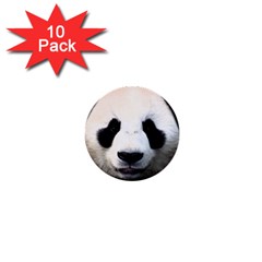 Panda Face 1  Mini Buttons (10 Pack)  by Valentinaart