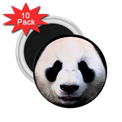 Panda Face 2 25  Magnets (10 Pack)  by Valentinaart