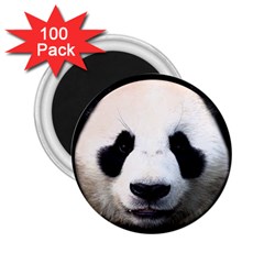 Panda Face 2 25  Magnets (100 Pack)  by Valentinaart