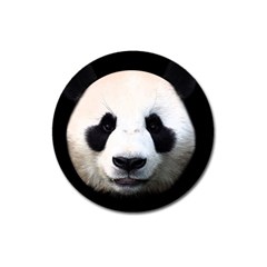 Panda Face Magnet 3  (round) by Valentinaart