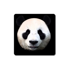 Panda Face Square Magnet by Valentinaart