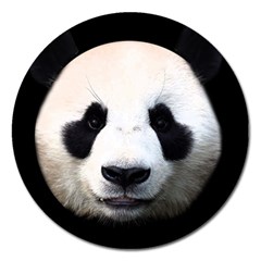 Panda Face Magnet 5  (round) by Valentinaart