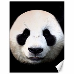 Panda Face Canvas 12  X 16   by Valentinaart